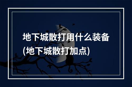 地下城散打用什么装备(地下城散打加点)