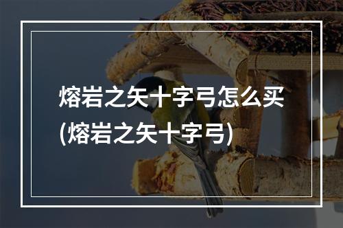 熔岩之矢十字弓怎么买(熔岩之矢十字弓)