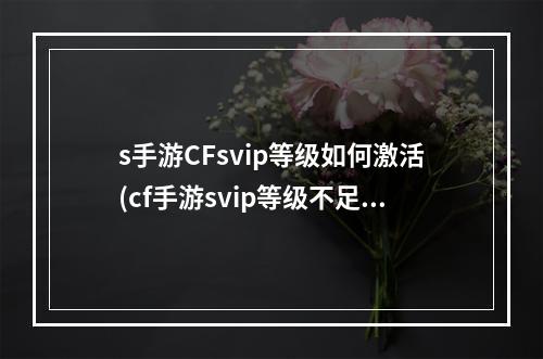 s手游CFsvip等级如何激活(cf手游svip等级不足)