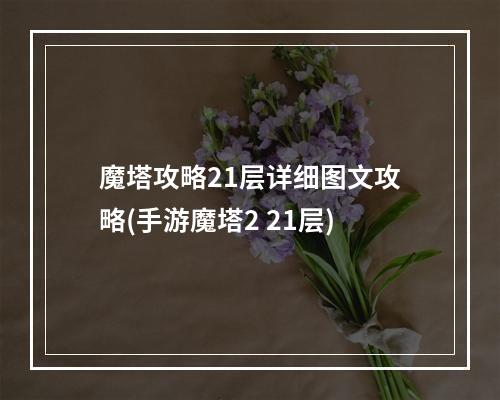 魔塔攻略21层详细图文攻略(手游魔塔2 21层)