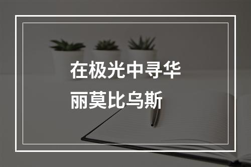 在极光中寻华丽莫比乌斯