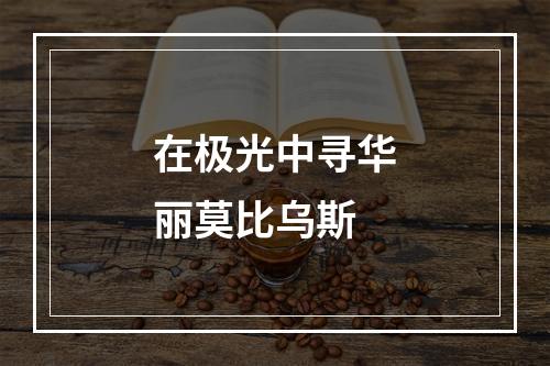 在极光中寻华丽莫比乌斯