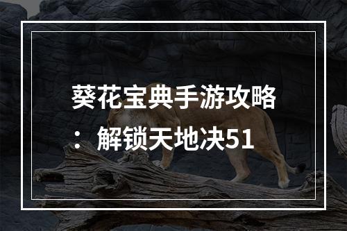 葵花宝典手游攻略：解锁天地决51