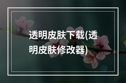 透明皮肤下载(透明皮肤修改器)