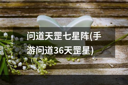 问道天罡七星阵(手游问道36天罡星)