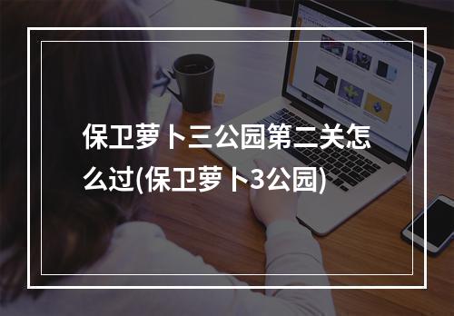 保卫萝卜三公园第二关怎么过(保卫萝卜3公园)