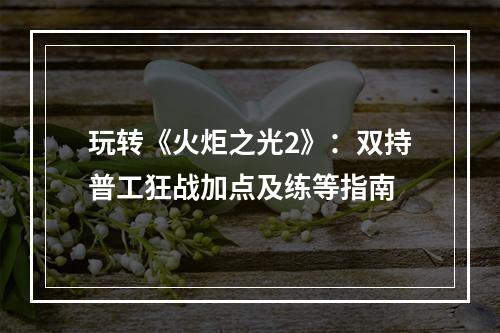 玩转《火炬之光2》：双持普工狂战加点及练等指南