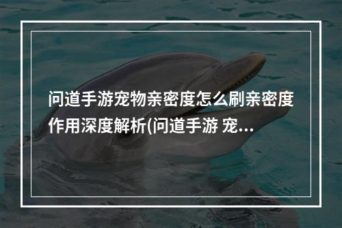 问道手游宠物亲密度怎么刷亲密度作用深度解析(问道手游 宠物亲密度)