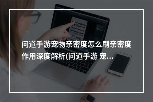 问道手游宠物亲密度怎么刷亲密度作用深度解析(问道手游 宠物亲密度)