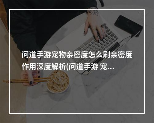 问道手游宠物亲密度怎么刷亲密度作用深度解析(问道手游 宠物亲密度)