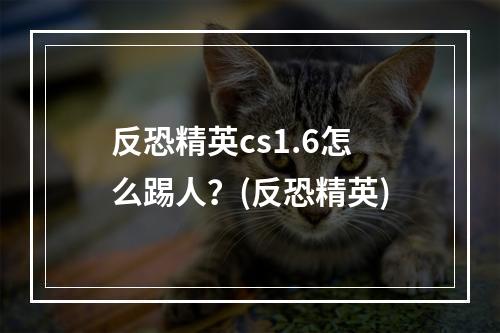 反恐精英cs1.6怎么踢人？(反恐精英)