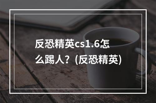 反恐精英cs1.6怎么踢人？(反恐精英)