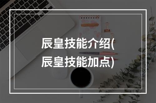 辰皇技能介绍(辰皇技能加点)