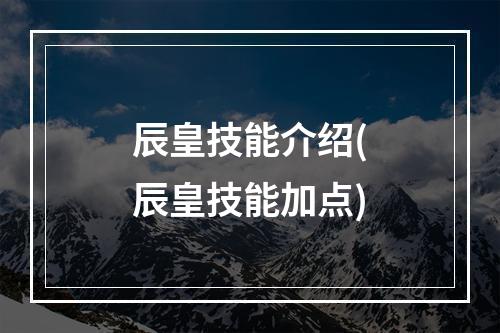 辰皇技能介绍(辰皇技能加点)