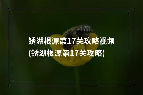 锈湖根源第17关攻略视频(锈湖根源第17关攻略)