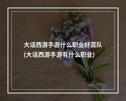 大话西游手游什么职业好混队(大话西游手游有什么职业)