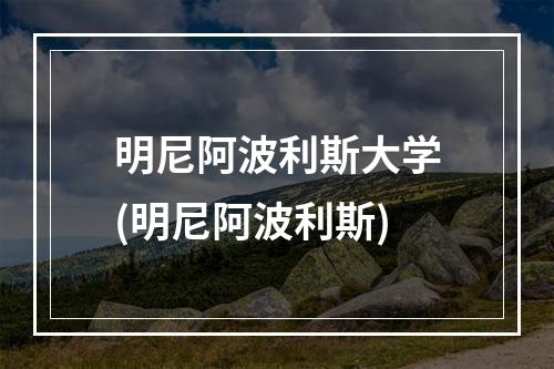 明尼阿波利斯大学(明尼阿波利斯)