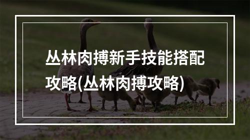 丛林肉搏新手技能搭配攻略(丛林肉搏攻略)