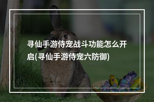 寻仙手游侍宠战斗功能怎么开启(寻仙手游侍宠六防御)