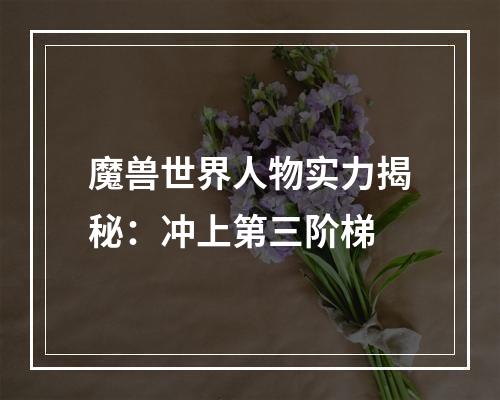 魔兽世界人物实力揭秘：冲上第三阶梯