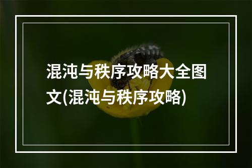 混沌与秩序攻略大全图文(混沌与秩序攻略)