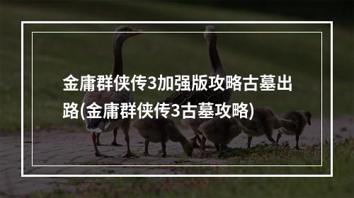 金庸群侠传3加强版攻略古墓出路(金庸群侠传3古墓攻略)