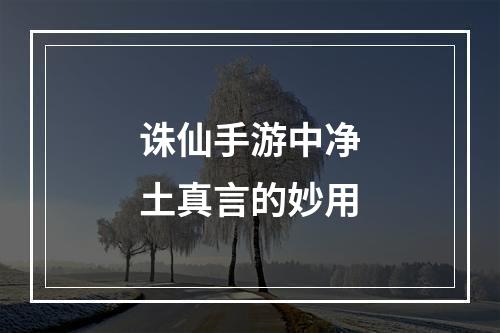 诛仙手游中净土真言的妙用