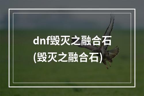 dnf毁灭之融合石(毁灭之融合石)