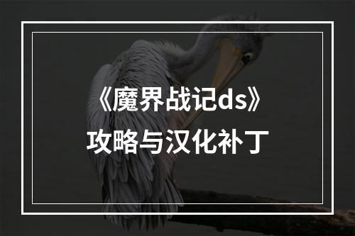 《魔界战记ds》攻略与汉化补丁