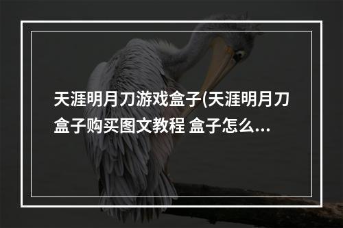 天涯明月刀游戏盒子(天涯明月刀盒子购买图文教程 盒子怎么购买 天涯明月刀手)