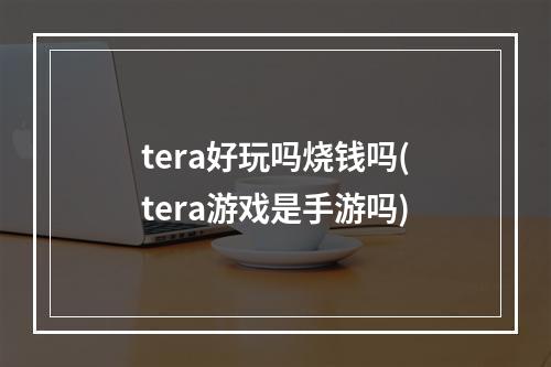 tera好玩吗烧钱吗(tera游戏是手游吗)