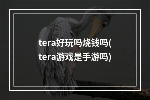 tera好玩吗烧钱吗(tera游戏是手游吗)