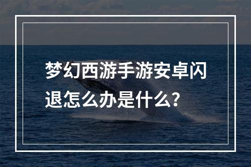 梦幻西游手游安卓闪退怎么办是什么？