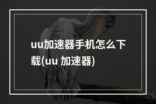 uu加速器手机怎么下载(uu 加速器)