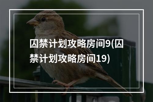 囚禁计划攻略房间9(囚禁计划攻略房间19)