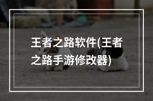 王者之路软件(王者之路手游修改器)