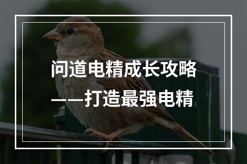 问道电精成长攻略——打造最强电精