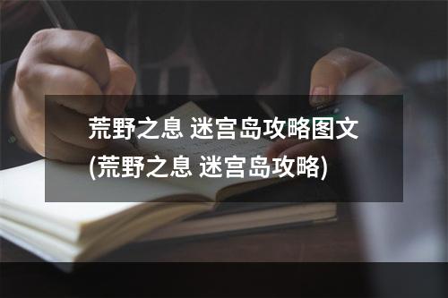 荒野之息 迷宫岛攻略图文(荒野之息 迷宫岛攻略)