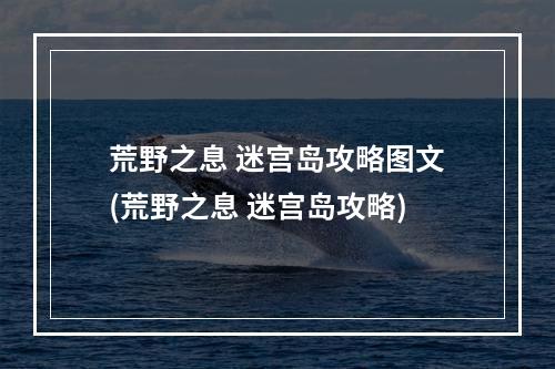 荒野之息 迷宫岛攻略图文(荒野之息 迷宫岛攻略)