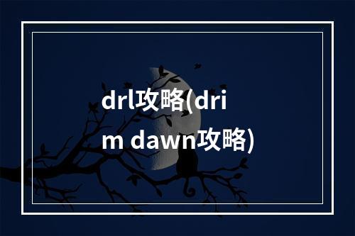 drl攻略(drim dawn攻略)