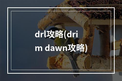 drl攻略(drim dawn攻略)