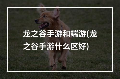 龙之谷手游和端游(龙之谷手游什么区好)