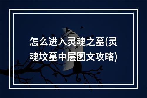 怎么进入灵魂之墓(灵魂坟墓中层图文攻略)