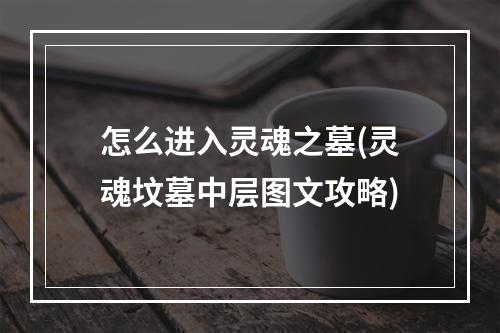 怎么进入灵魂之墓(灵魂坟墓中层图文攻略)