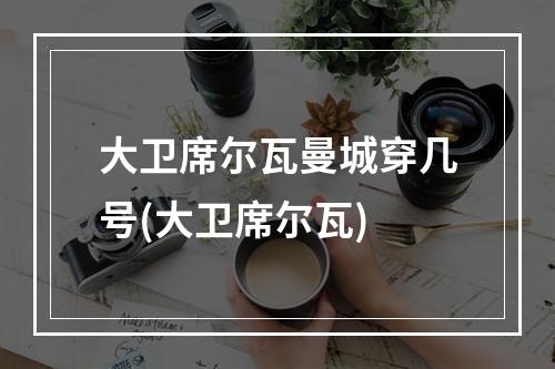 大卫席尔瓦曼城穿几号(大卫席尔瓦)