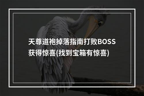 天尊道袍掉落指南打败BOSS获得惊喜(找到宝箱有惊喜)