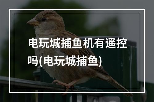 电玩城捕鱼机有遥控吗(电玩城捕鱼)