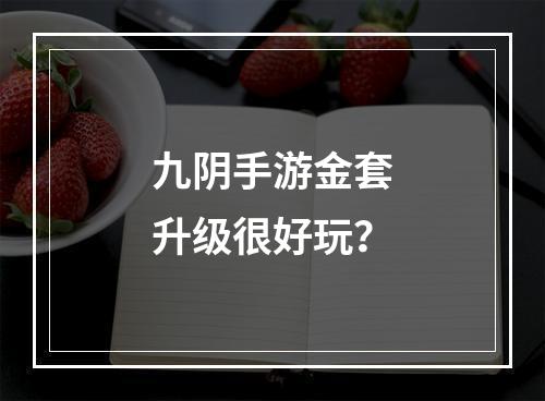 九阴手游金套升级很好玩？