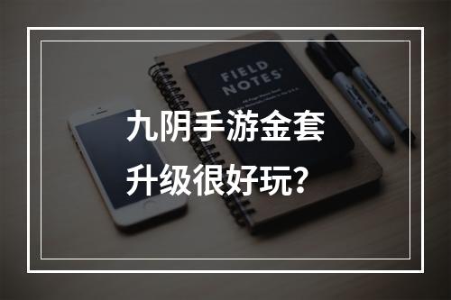 九阴手游金套升级很好玩？