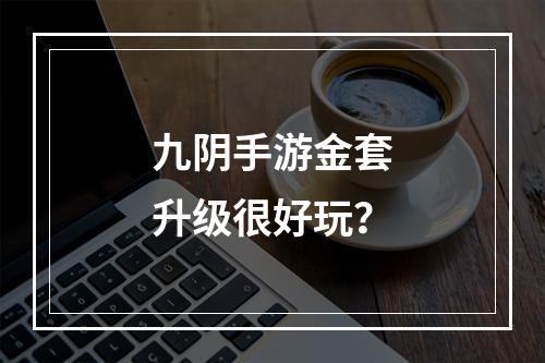 九阴手游金套升级很好玩？